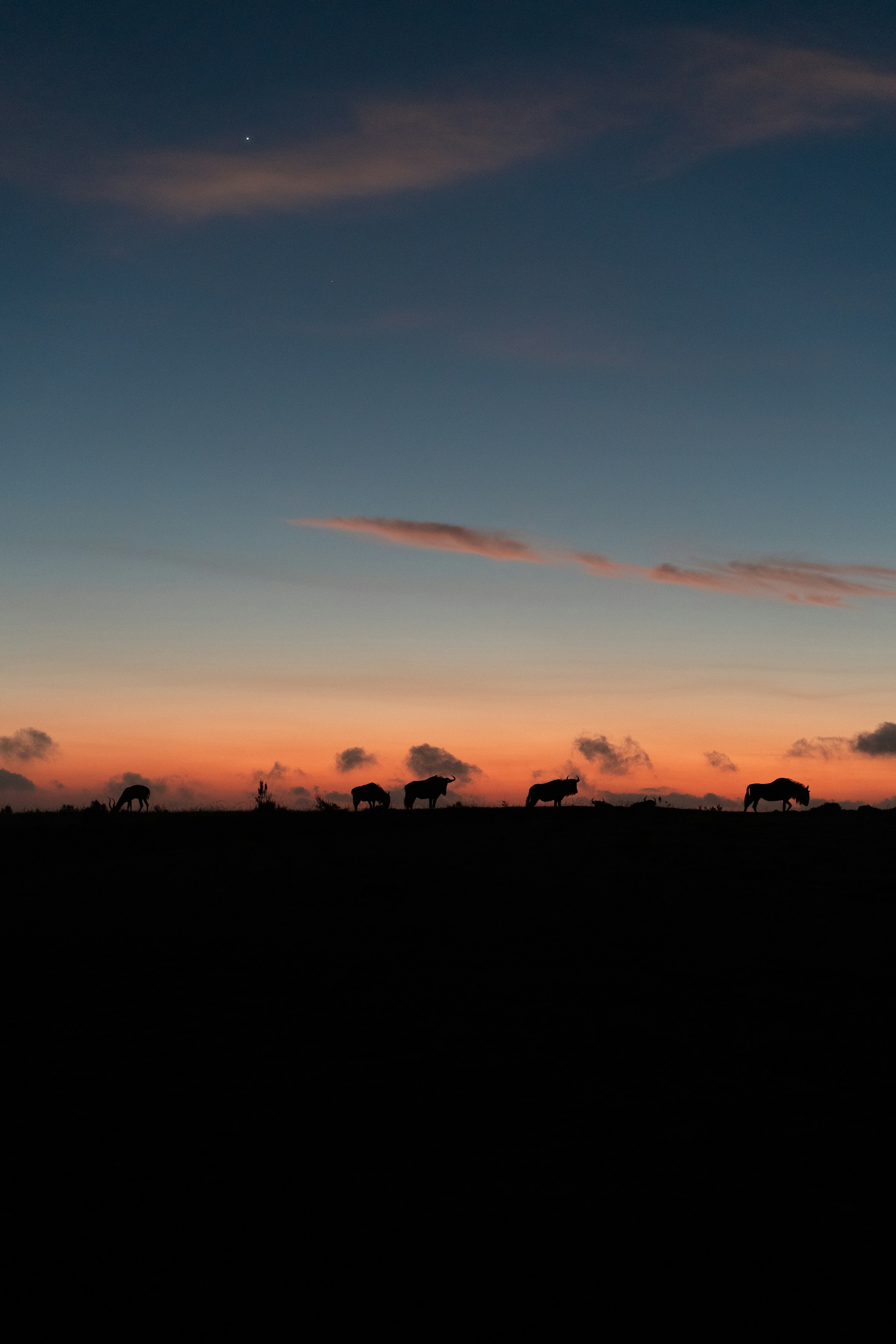 Tailor-Made Holidays