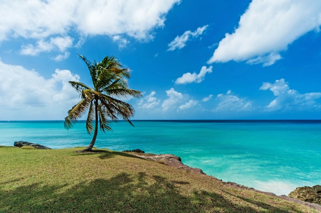 Barbados Offer